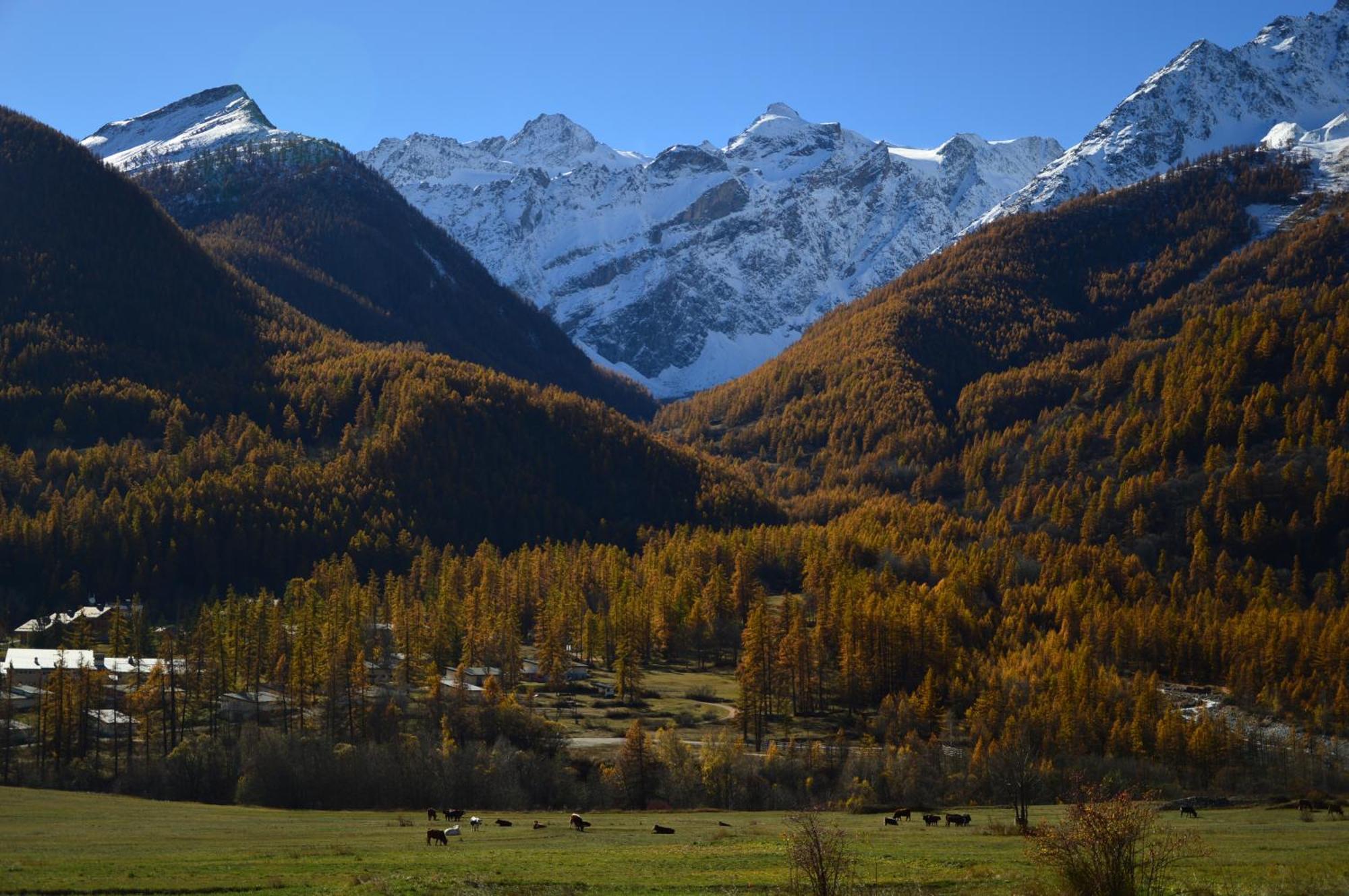 Villa Le Refuge Des Boussardes Le Monêtier-les-Bains Esterno foto